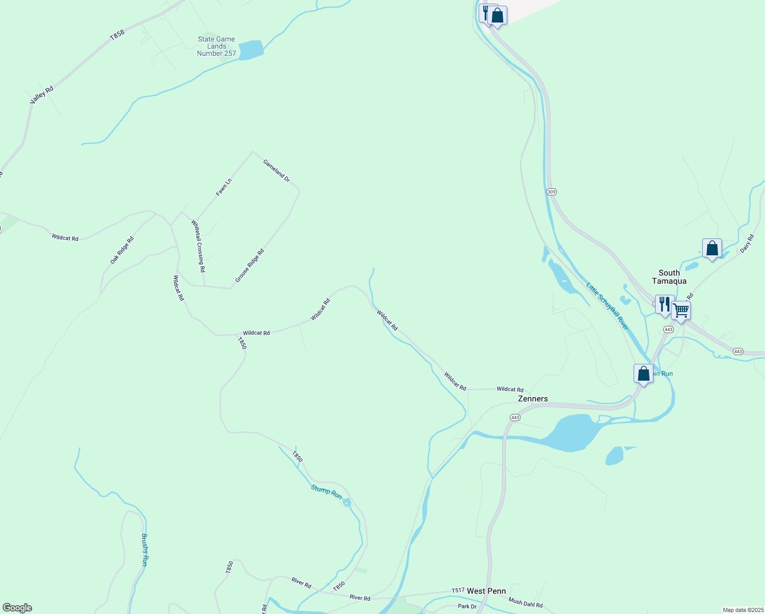 map of restaurants, bars, coffee shops, grocery stores, and more near 160 Wildcat Road in Tamaqua