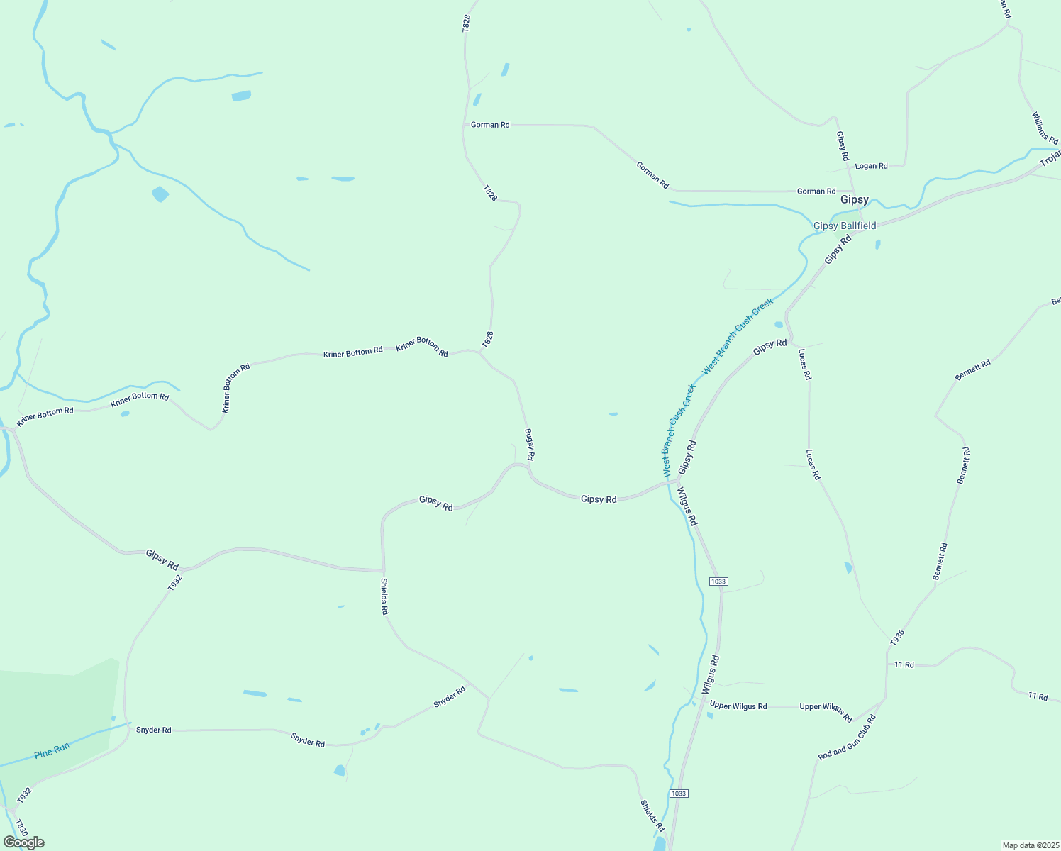 map of restaurants, bars, coffee shops, grocery stores, and more near 317 Kriner Bottom Road in Gipsy