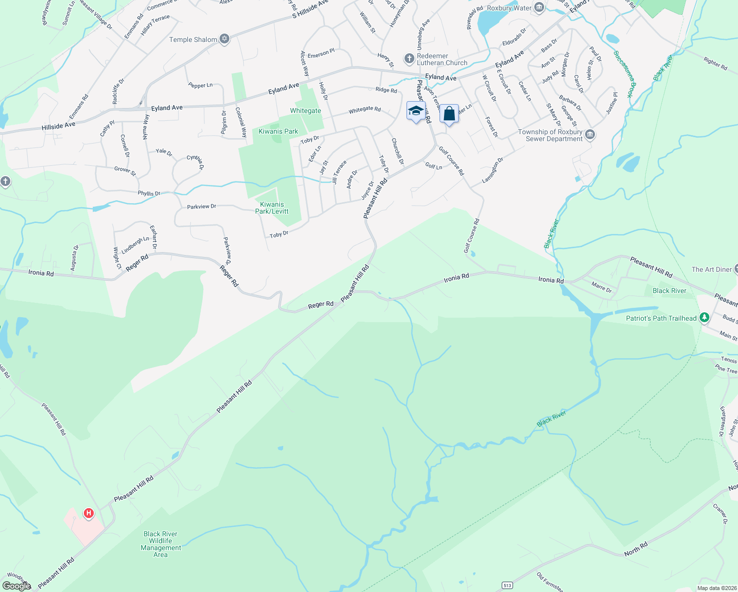 map of restaurants, bars, coffee shops, grocery stores, and more near 4 Ironia Road in Chester Township
