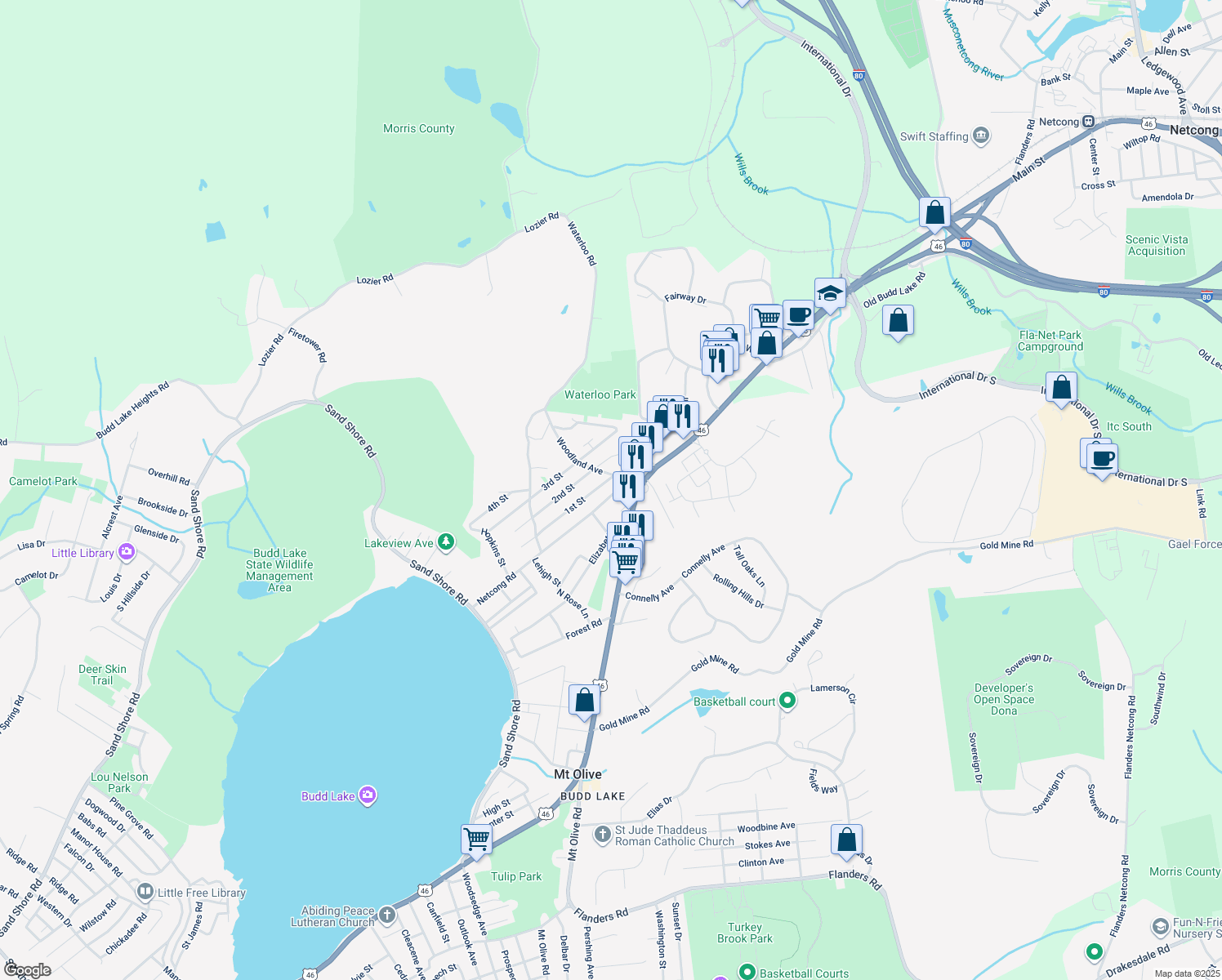 17 Netcong Road, Mount Olive Township NJ Walk Score