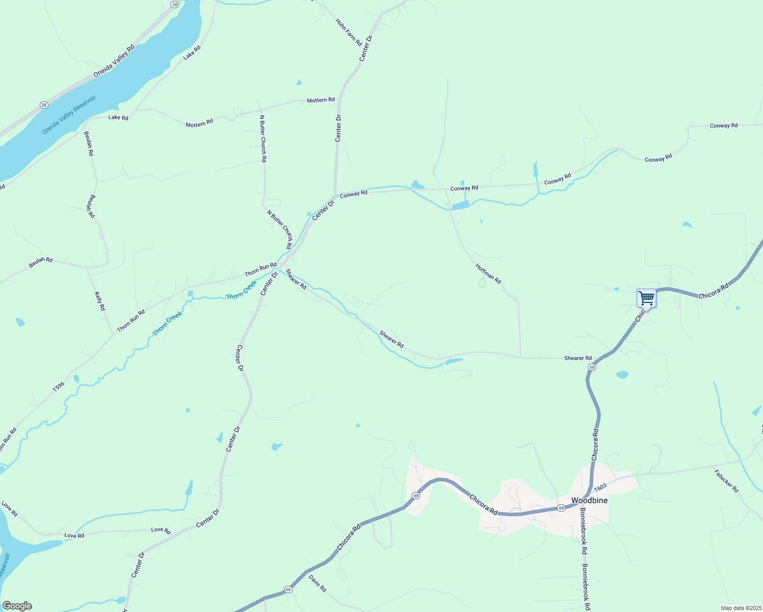 map of restaurants, bars, coffee shops, grocery stores, and more near 149 Shearer Road in Chicora