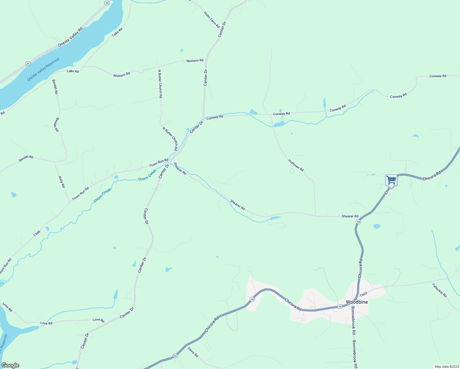 map of restaurants, bars, coffee shops, grocery stores, and more near 149 Shearer Road in Chicora