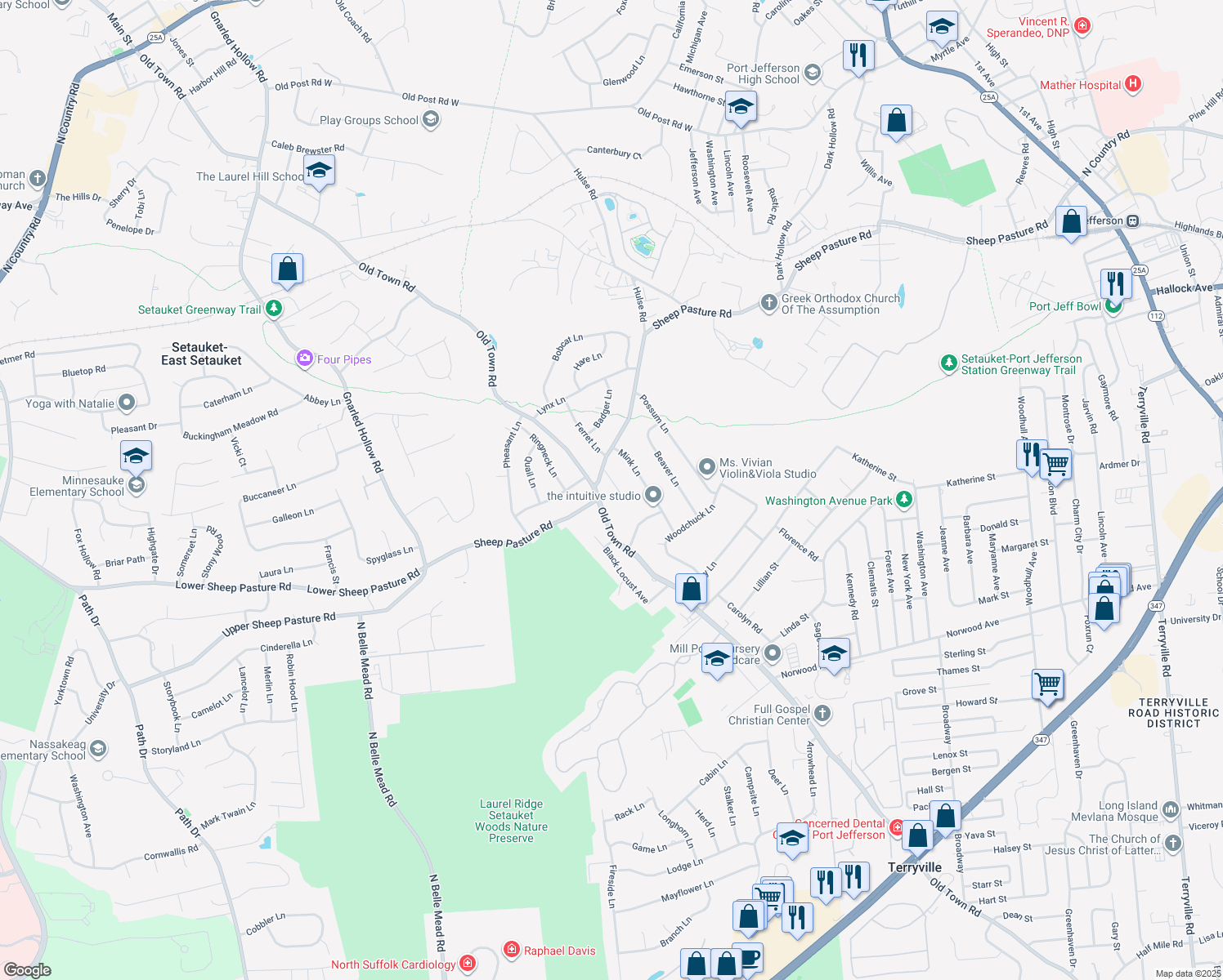 306 Sheep Pasture Road, Setauket East Setauket NY Walk Score