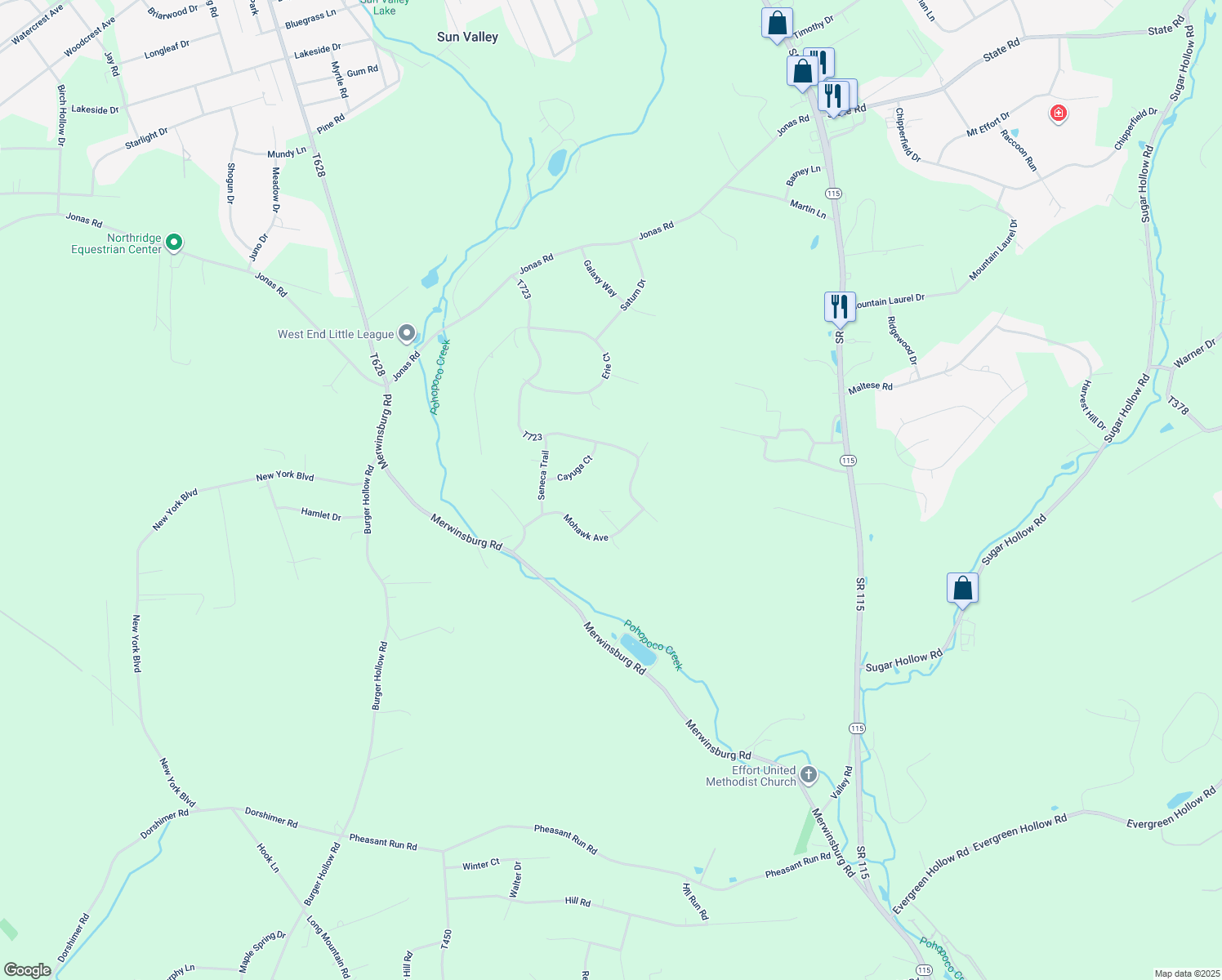map of restaurants, bars, coffee shops, grocery stores, and more near 1621 Starry Lane in Effort