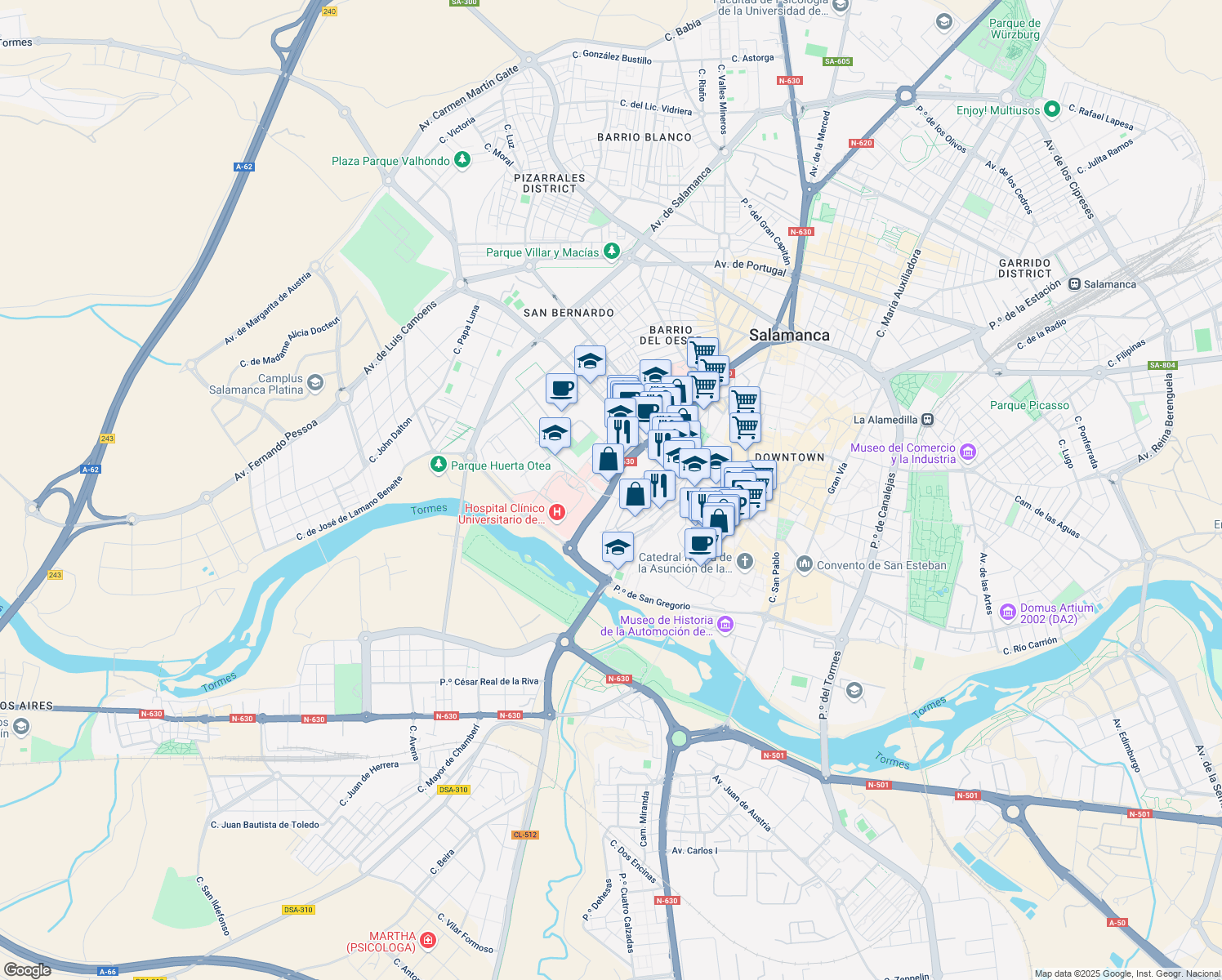 map of restaurants, bars, coffee shops, grocery stores, and more near Paseo de San Vicente in Salamanca