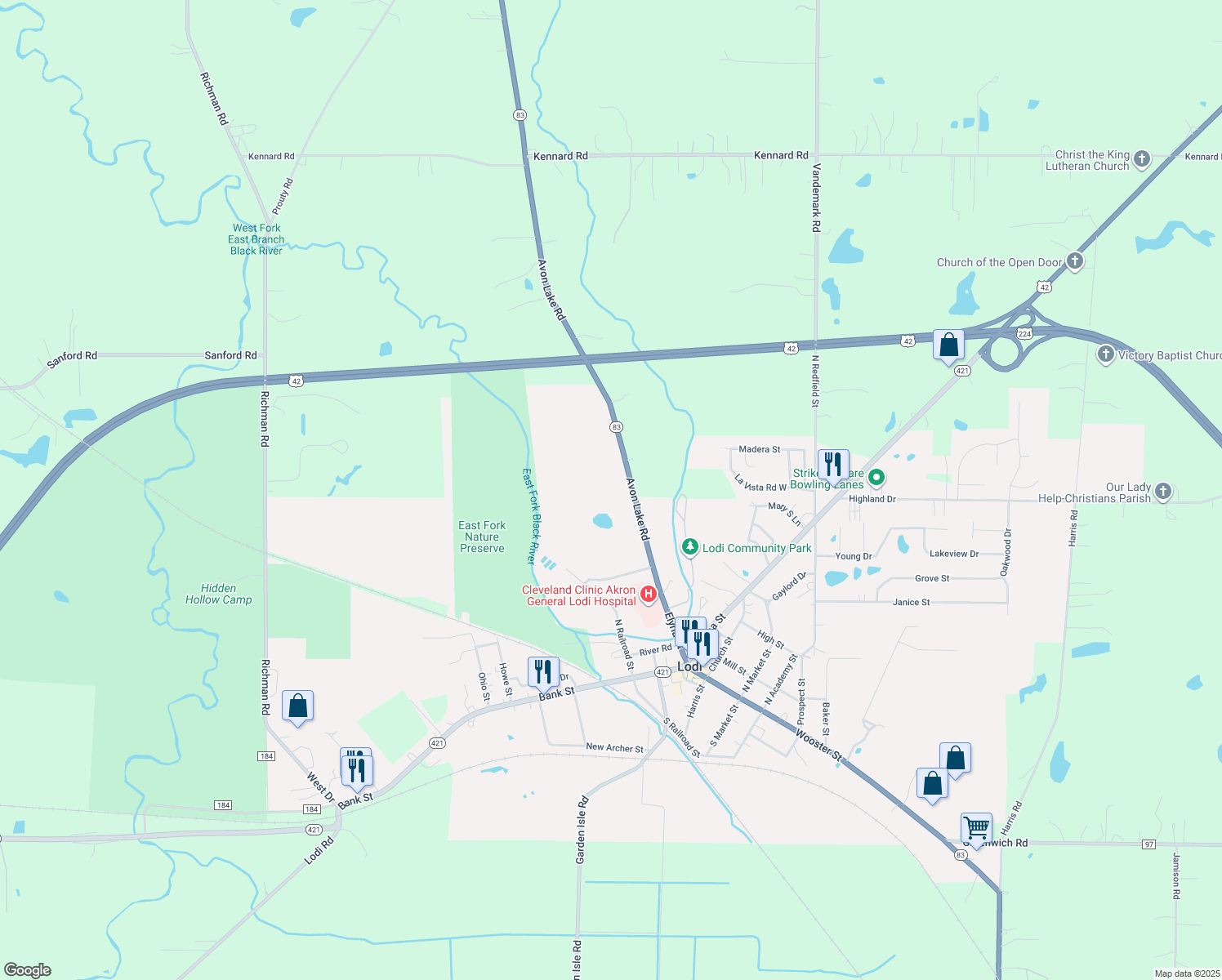 355 Elyria Street, Lodi OH Walk Score