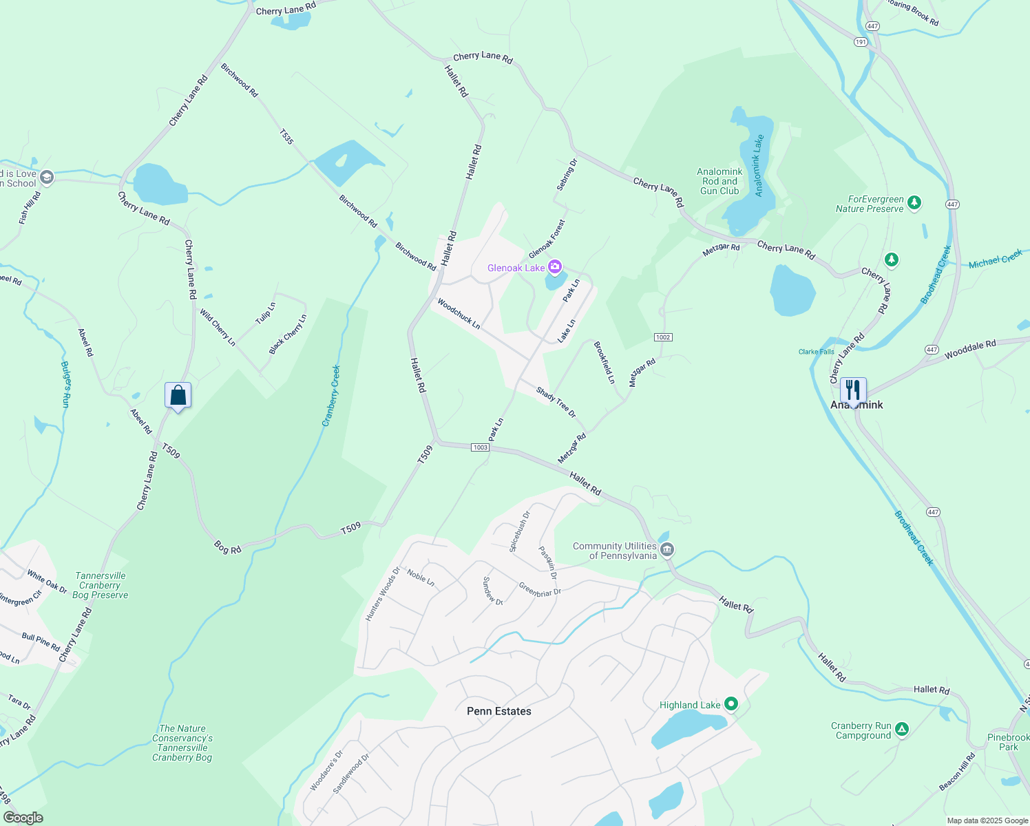 map of restaurants, bars, coffee shops, grocery stores, and more near 8 Park Lane in East Stroudsburg