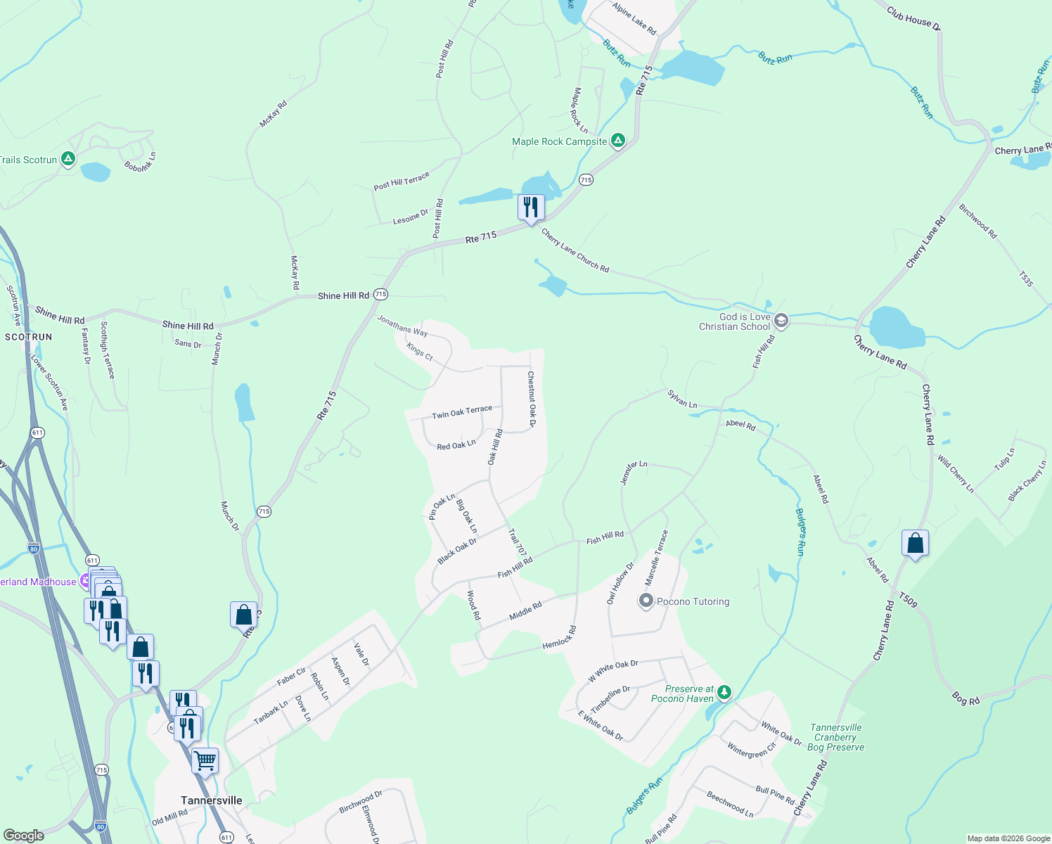 map of restaurants, bars, coffee shops, grocery stores, and more near 1110-1112 Chestnut Oak Dr in Tannersville