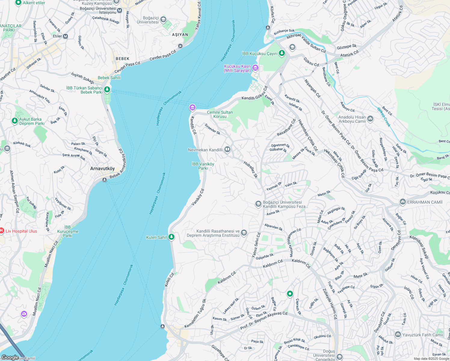 map of restaurants, bars, coffee shops, grocery stores, and more near in Üsküdar