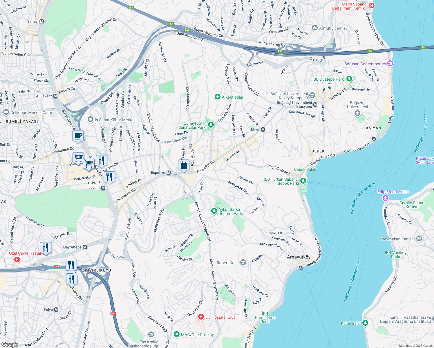 map of restaurants, bars, coffee shops, grocery stores, and more near 13 Tanburi Ali Efendi Sokak in Beşiktaş
