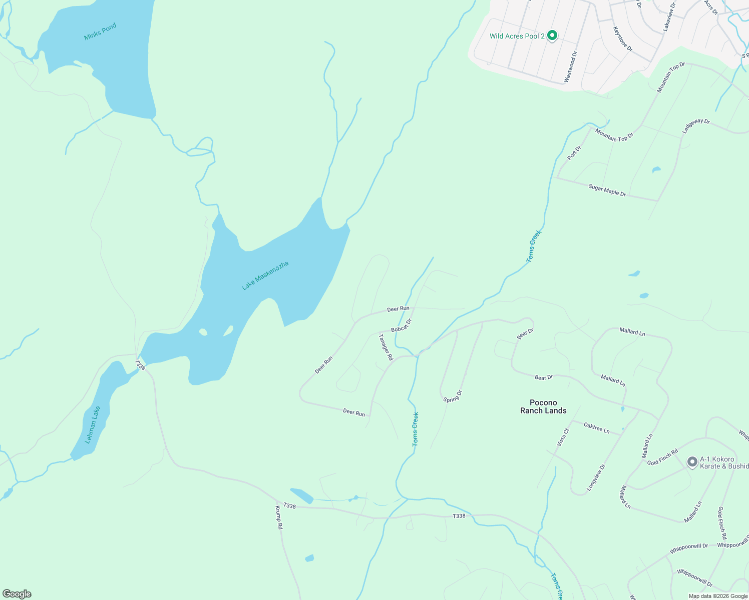 map of restaurants, bars, coffee shops, grocery stores, and more near 297 Doe Loop in Pike County