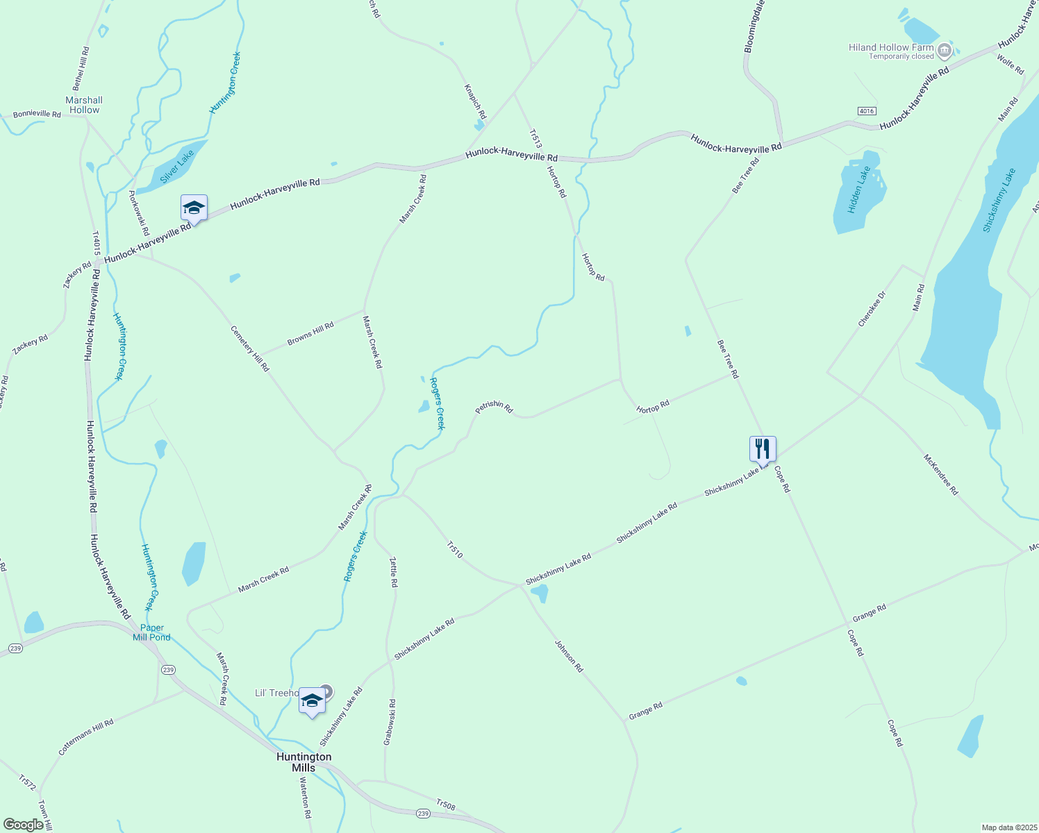 map of restaurants, bars, coffee shops, grocery stores, and more near Petrishin Road in Shickshinny