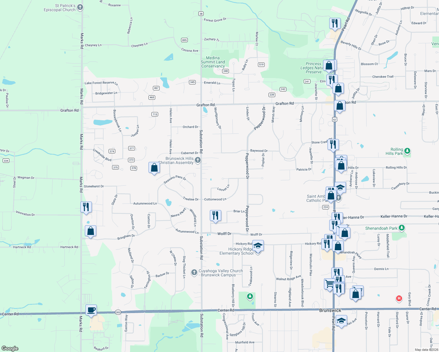 map of restaurants, bars, coffee shops, grocery stores, and more near 4769 Persimmon Lane in Brunswick