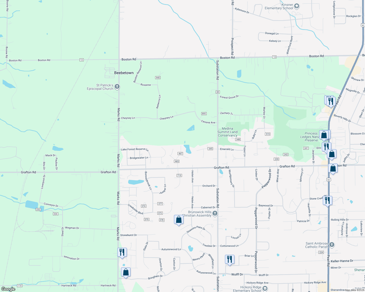 map of restaurants, bars, coffee shops, grocery stores, and more near 419 Brambleside Drive in Brunswick