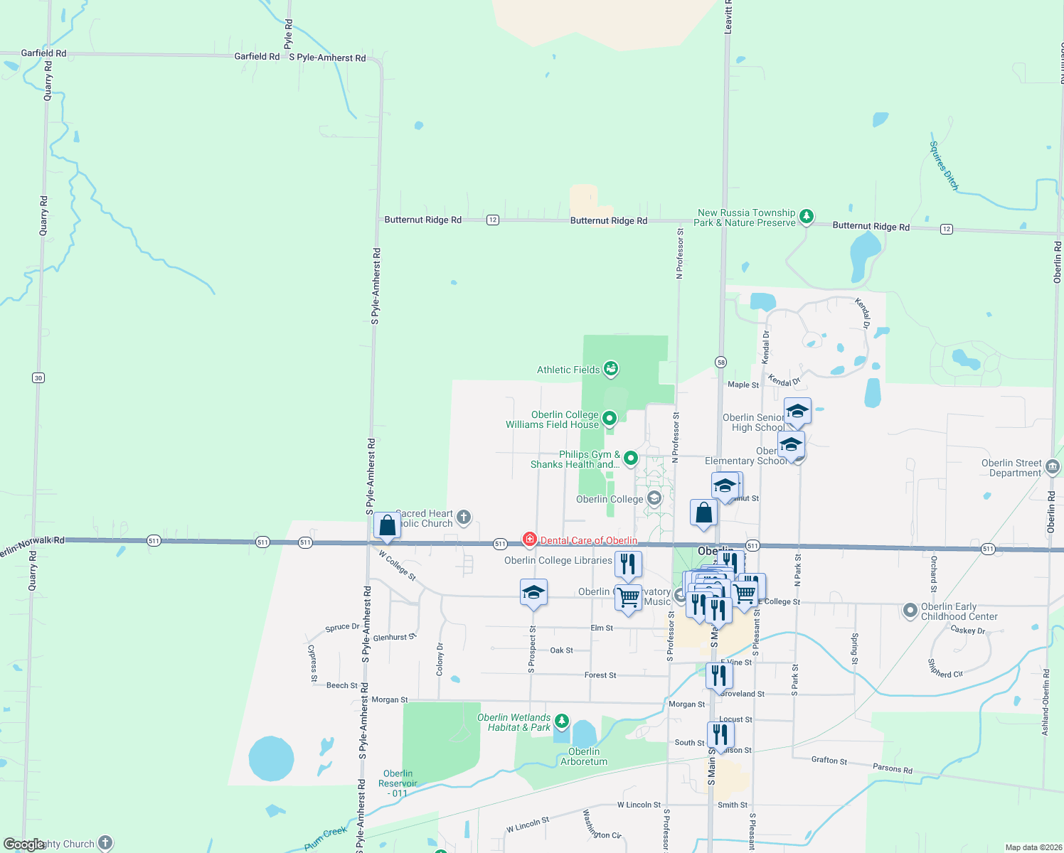 map of restaurants, bars, coffee shops, grocery stores, and more near 290 N Prospect St in Oberlin