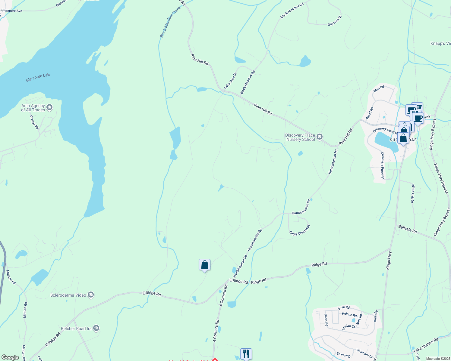 map of restaurants, bars, coffee shops, grocery stores, and more near 18 Silvertail Road in Chester
