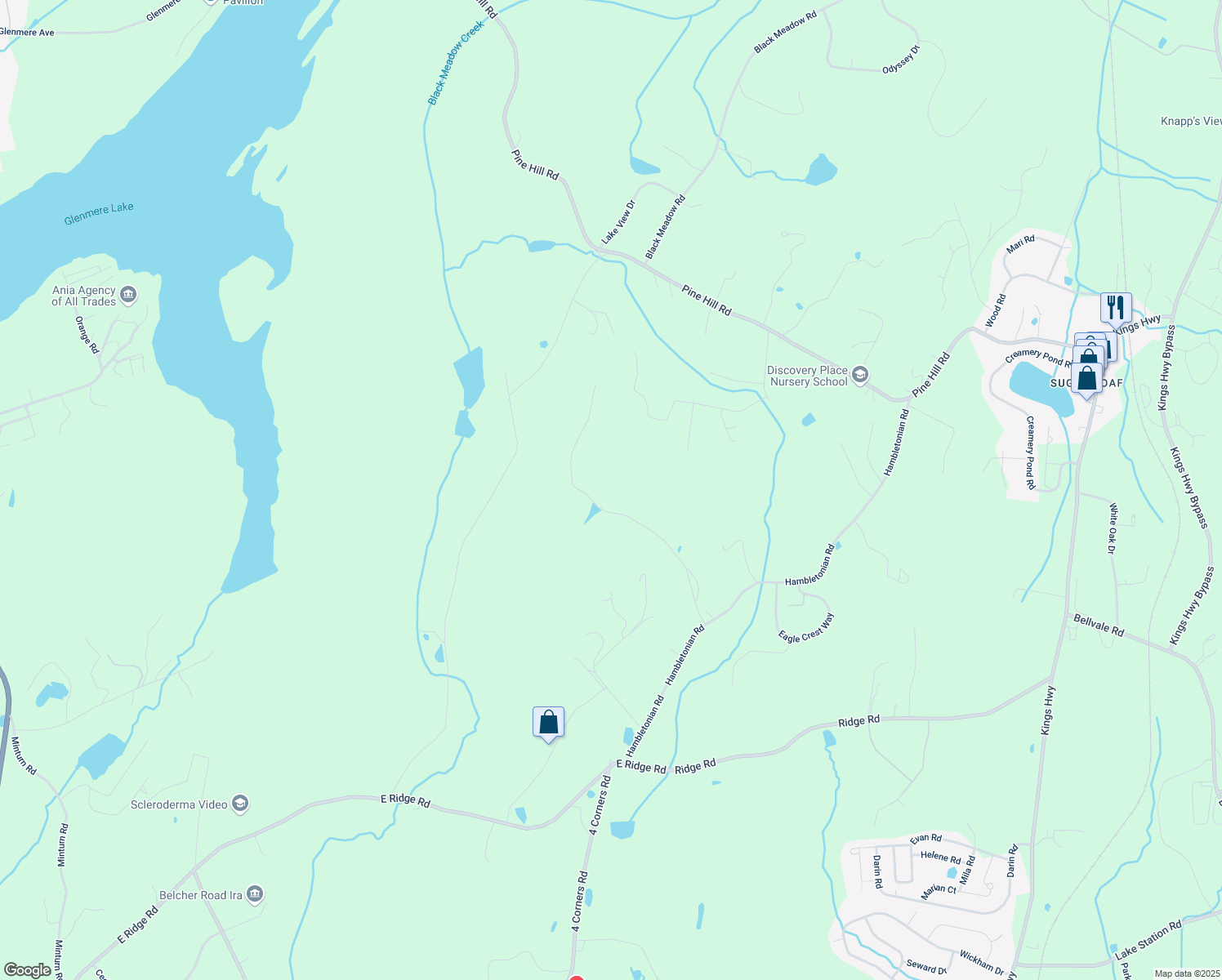 map of restaurants, bars, coffee shops, grocery stores, and more near 18 Silvertail Road in Chester
