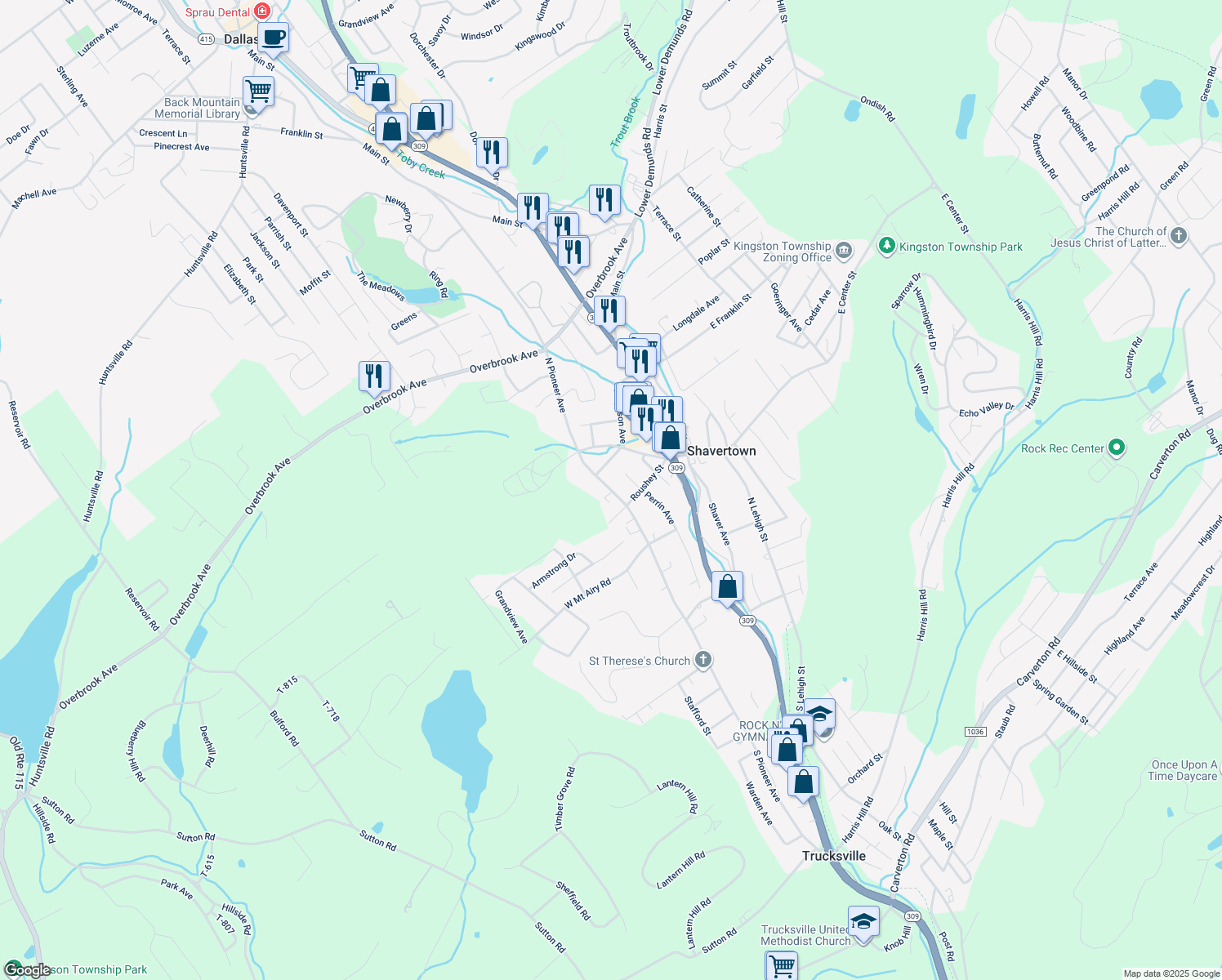 map of restaurants, bars, coffee shops, grocery stores, and more near 122 North Pioneer Avenue in Shavertown