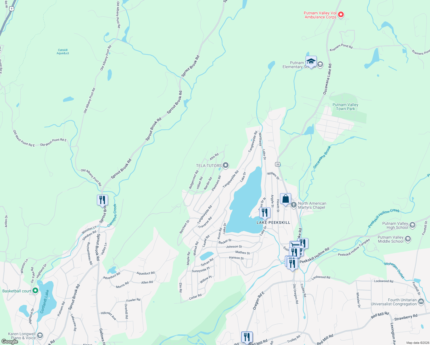 map of restaurants, bars, coffee shops, grocery stores, and more near 114 Nardin Road in Putnam County