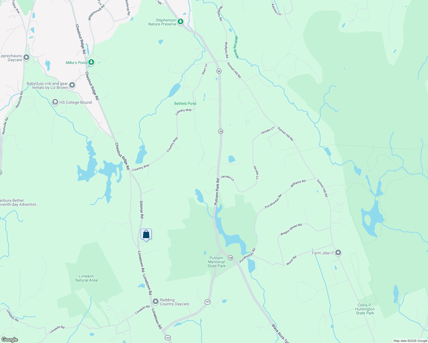 map of restaurants, bars, coffee shops, grocery stores, and more near 138 Putnam Park Rd in Bethel