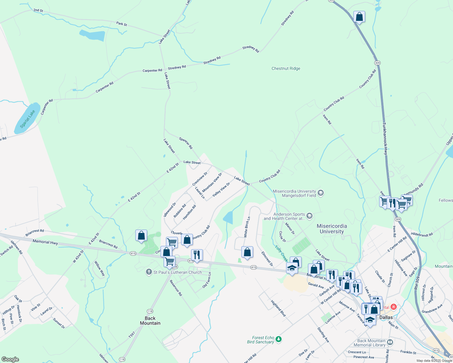 map of restaurants, bars, coffee shops, grocery stores, and more near 441-2 Valley View Dr in Dallas