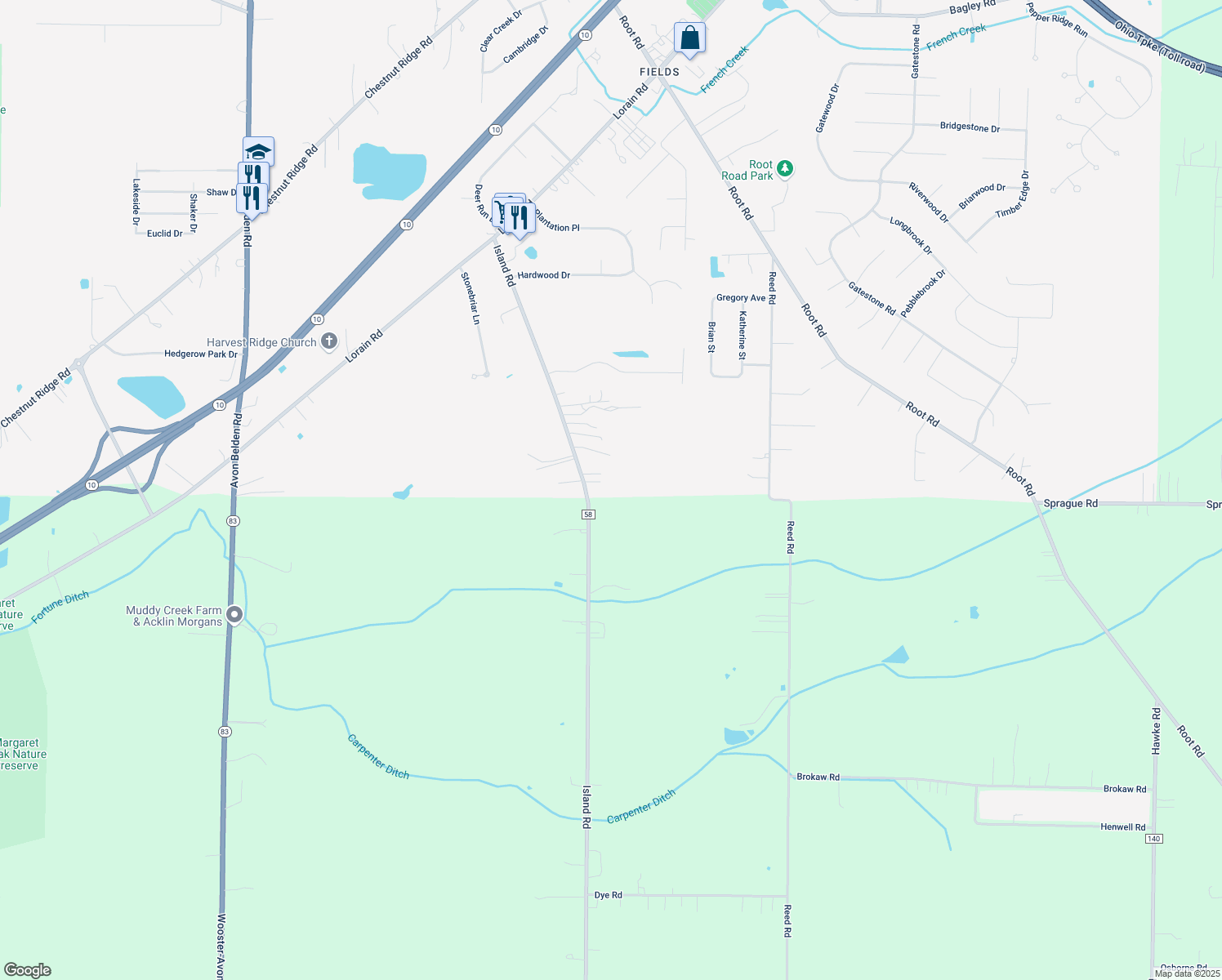 map of restaurants, bars, coffee shops, grocery stores, and more near 9491 Island Rd in North Ridgeville