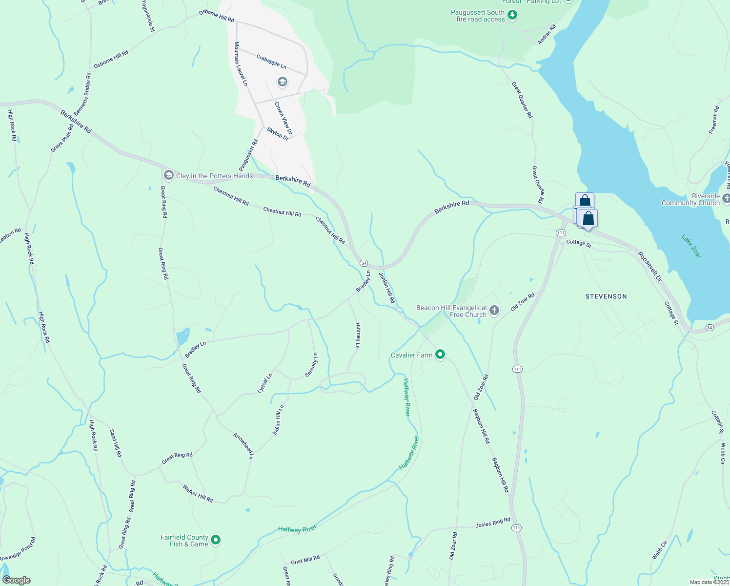 map of restaurants, bars, coffee shops, grocery stores, and more near 3 Bradley Lane in Newtown