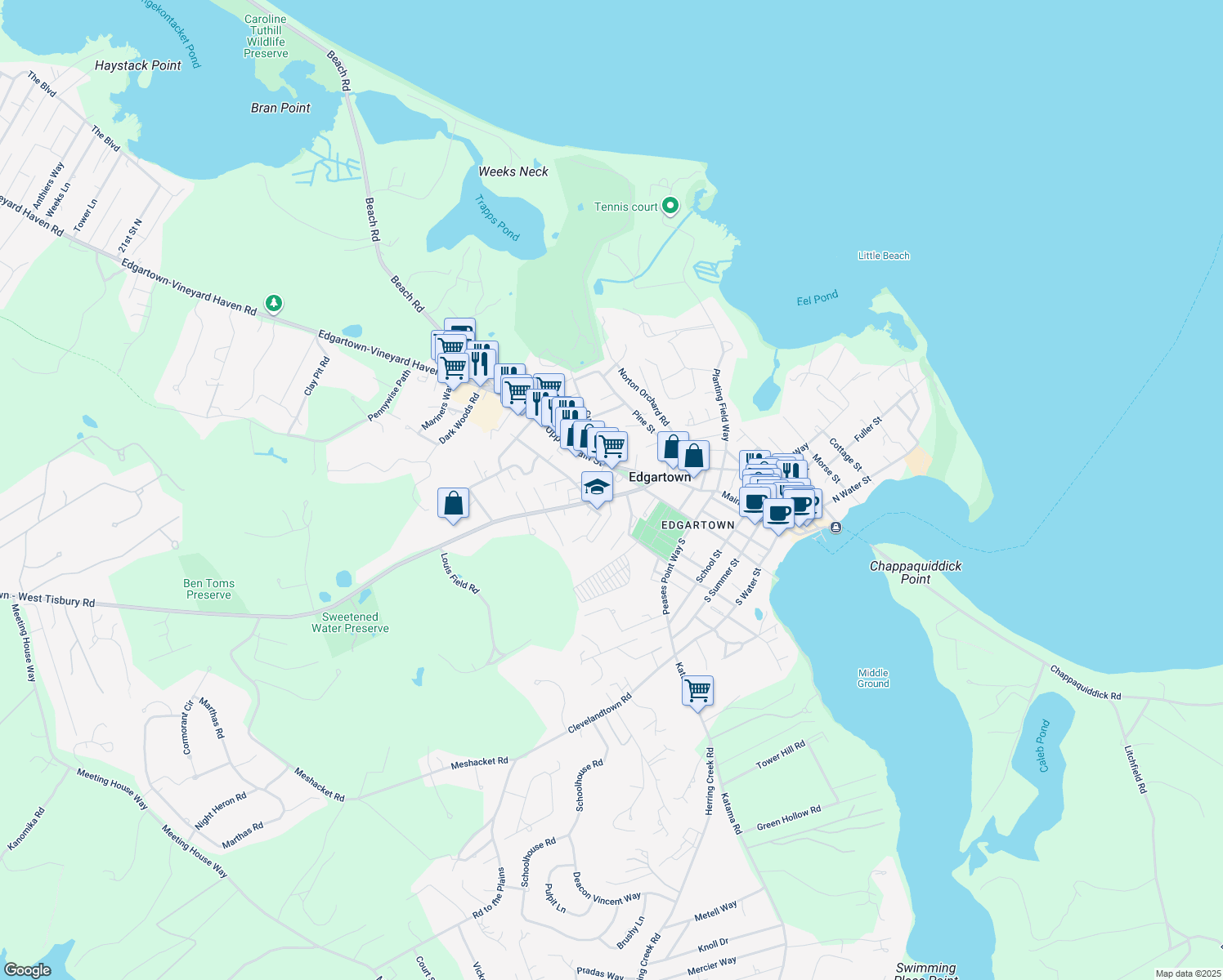 35 West Tisbury Road, Edgartown MA Walk Score