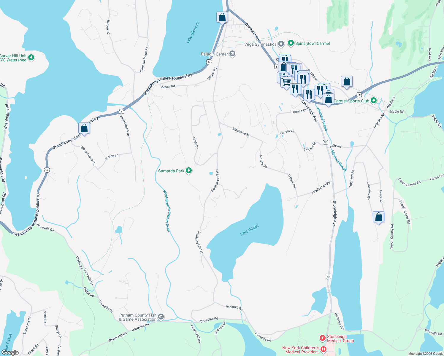 map of restaurants, bars, coffee shops, grocery stores, and more near 169 Seminary Hill Road in Carmel Hamlet