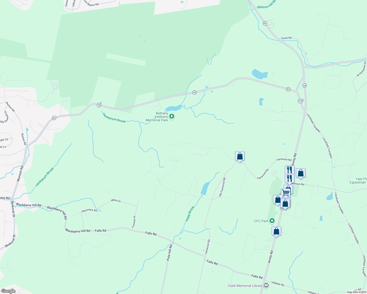 map of restaurants, bars, coffee shops, grocery stores, and more near 111 Lebanon Road in Bethany