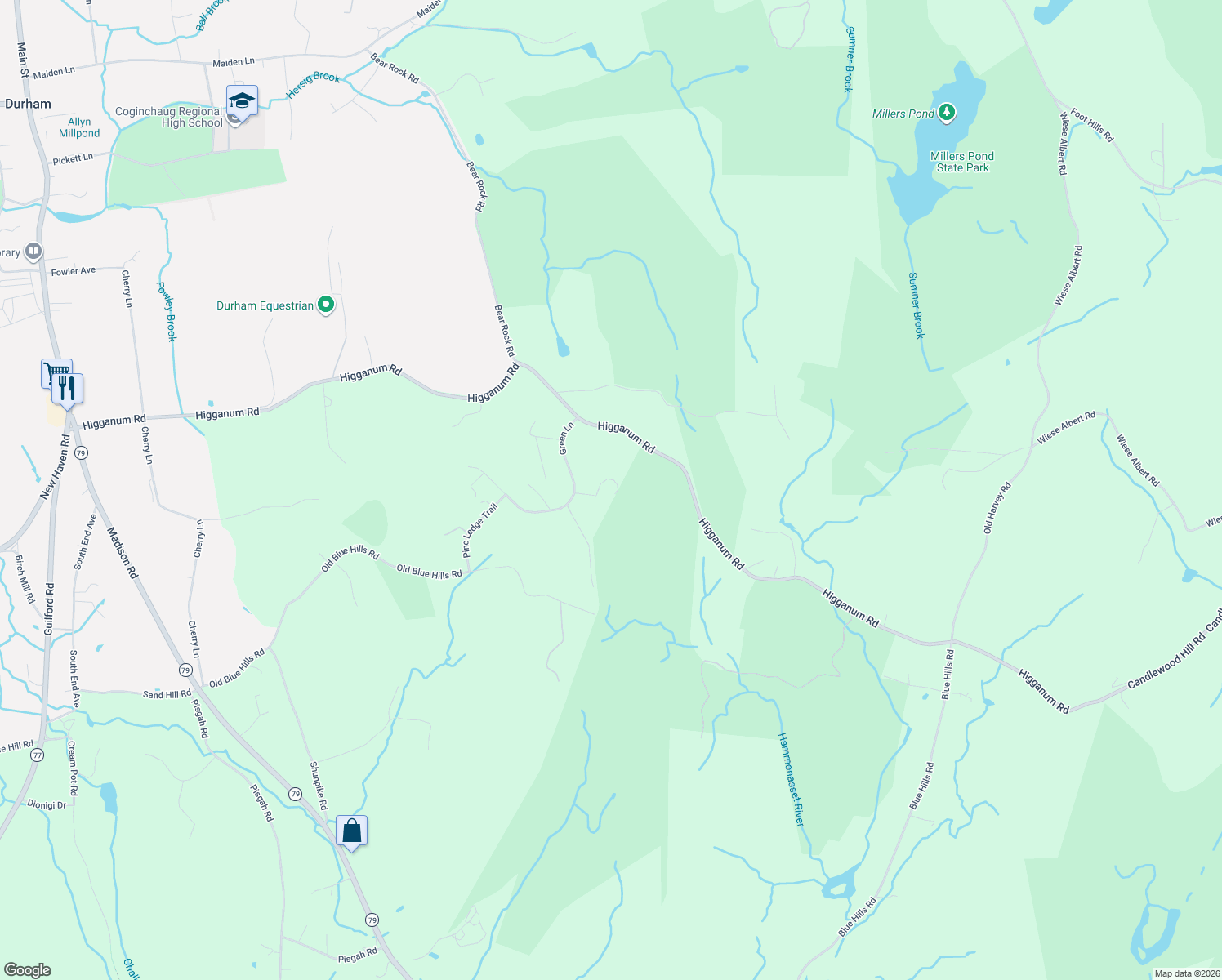 map of restaurants, bars, coffee shops, grocery stores, and more near 58 R Green Lane in Durham