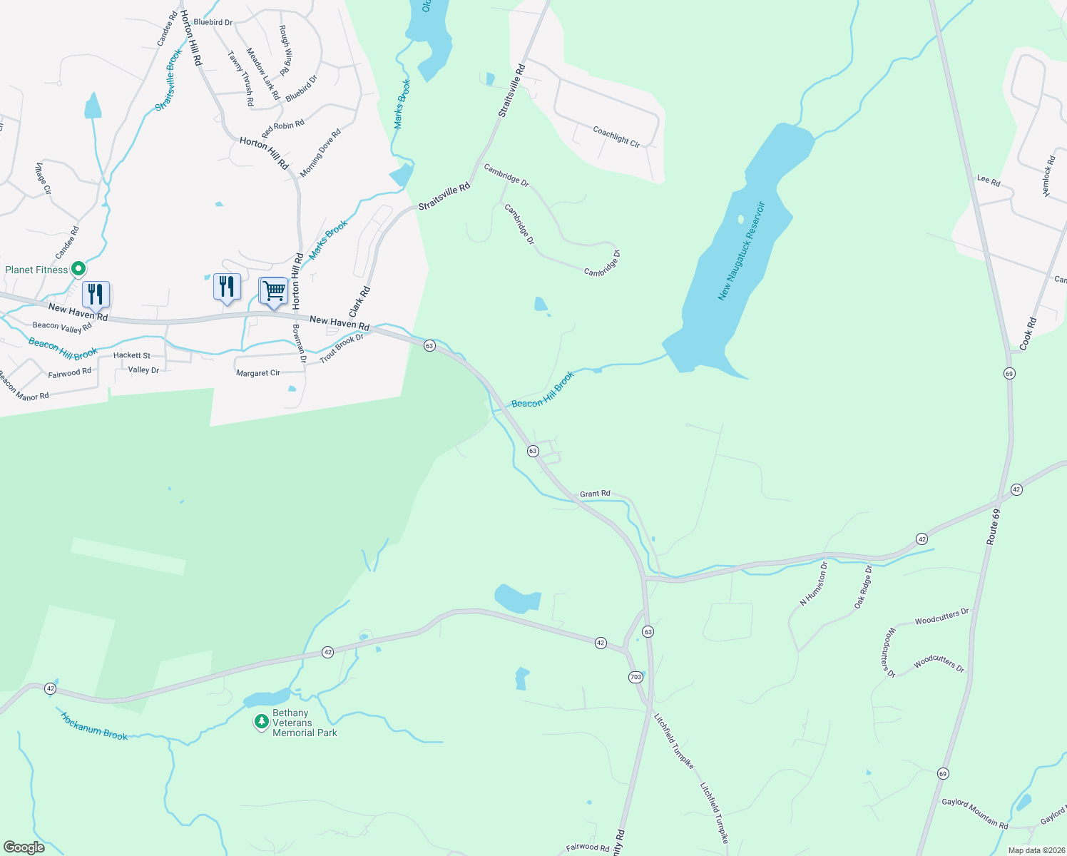 map of restaurants, bars, coffee shops, grocery stores, and more near 99 4th St in Bethany