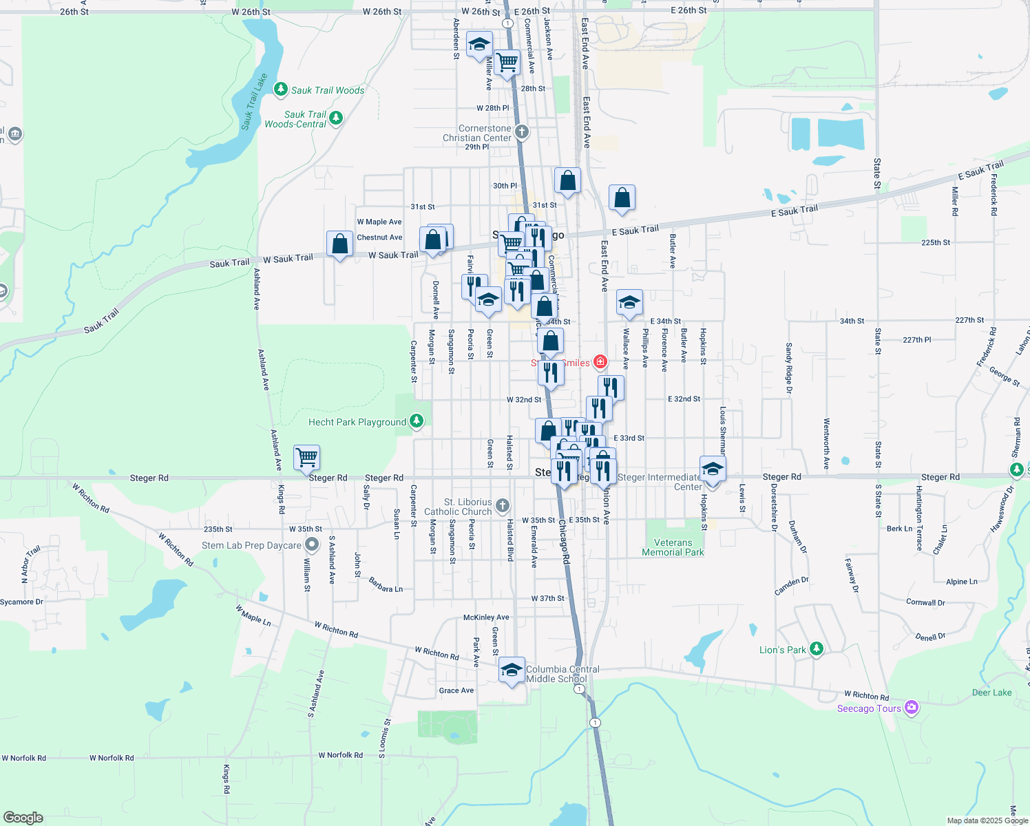 3219 Halsted Street, Steger IL Walk Score