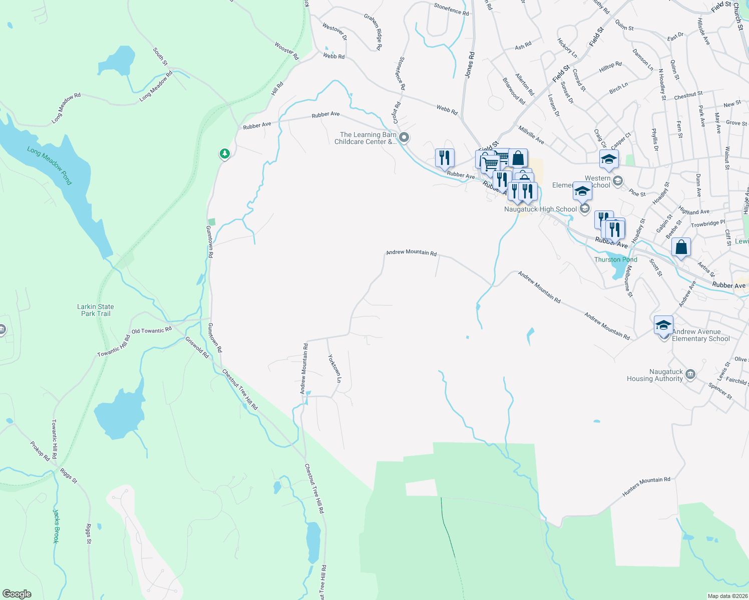 map of restaurants, bars, coffee shops, grocery stores, and more near 28 Tower Lane in Naugatuck