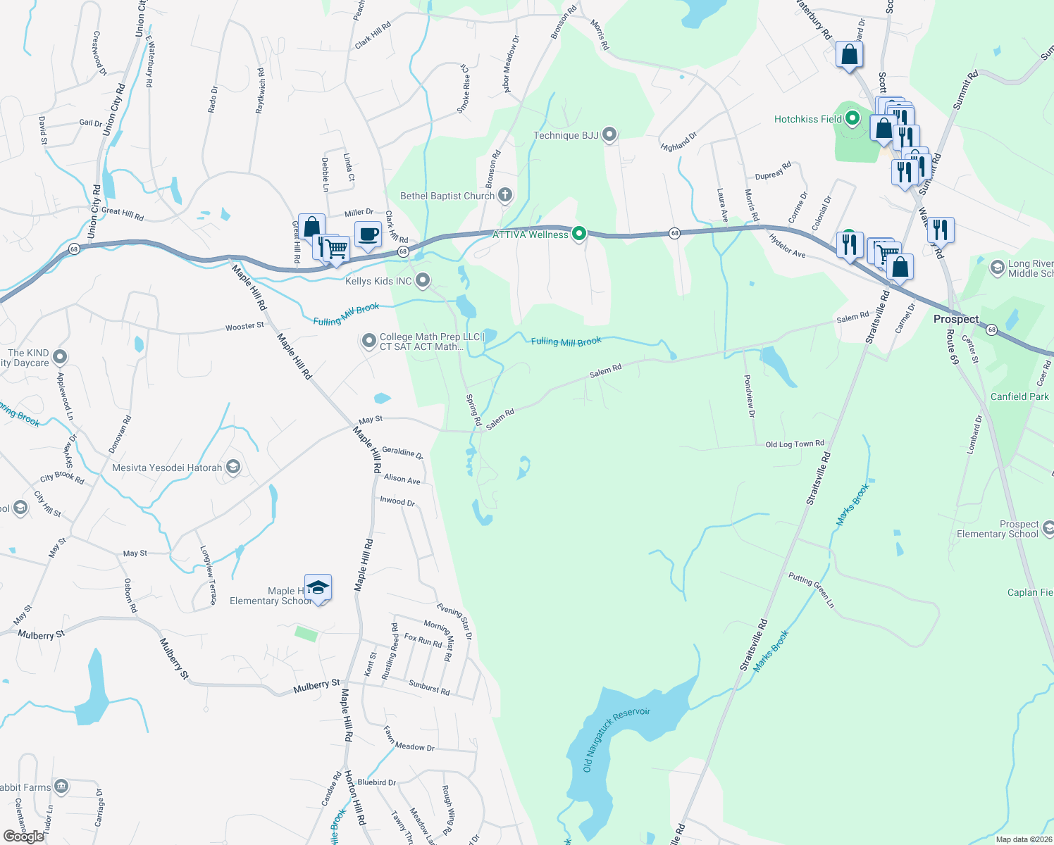 map of restaurants, bars, coffee shops, grocery stores, and more near 125 Salem Road in Prospect