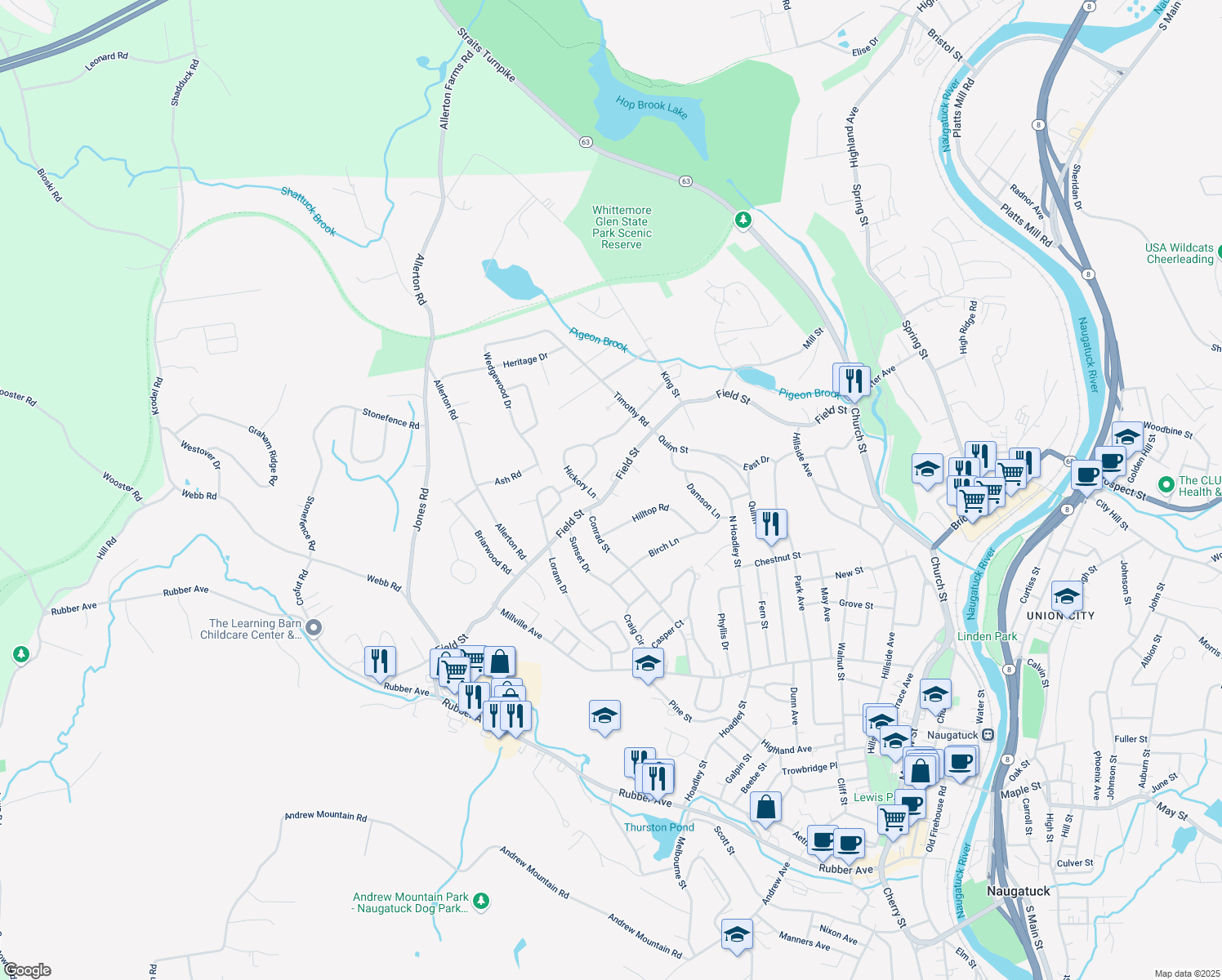 map of restaurants, bars, coffee shops, grocery stores, and more near 419 Field Street in Naugatuck