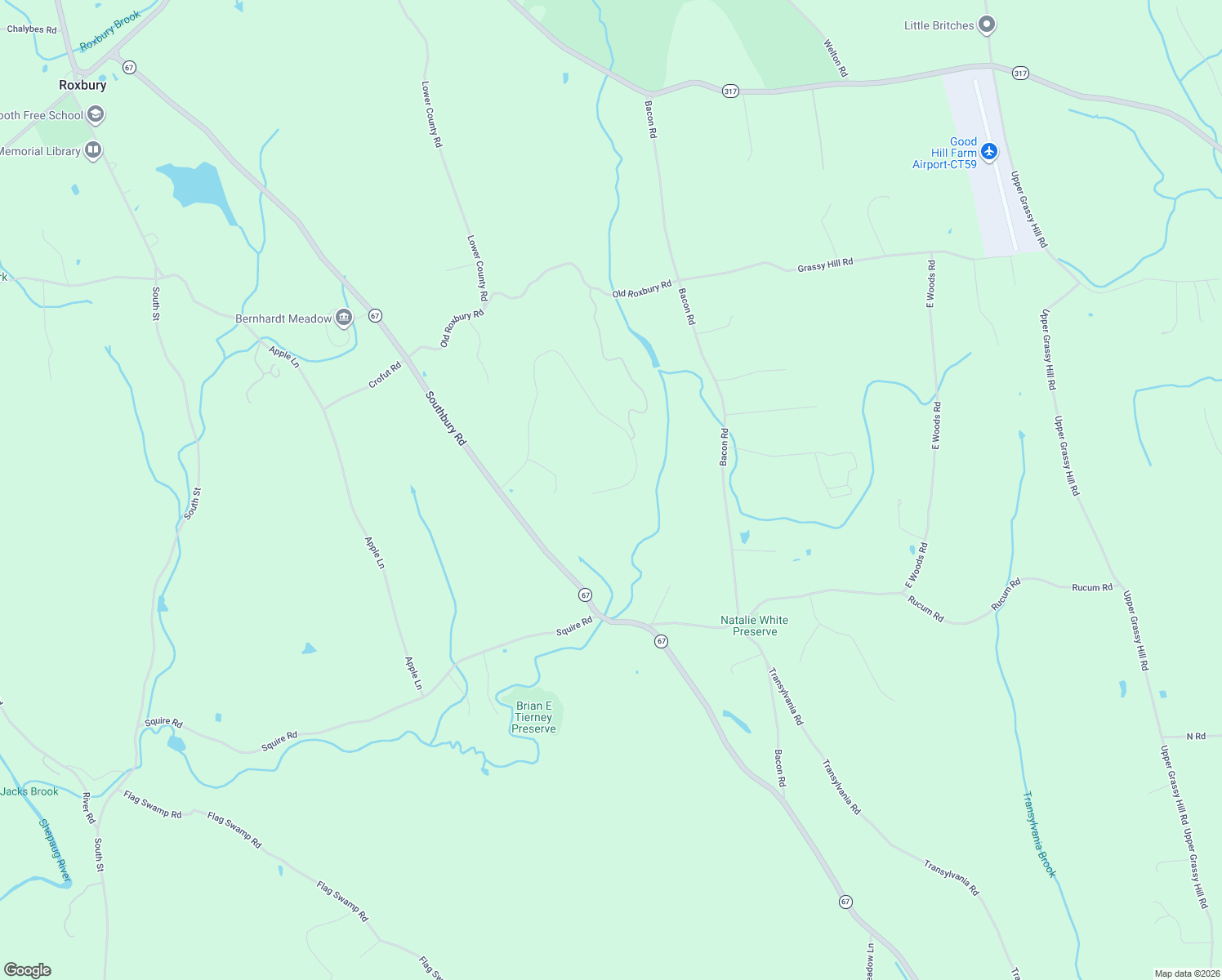 map of restaurants, bars, coffee shops, grocery stores, and more near 99 Carriage Lane in Roxbury