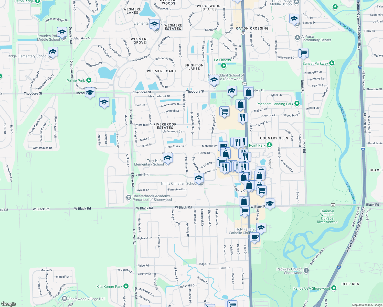 1113 Shorewood Drive, Shorewood IL Walk Score
