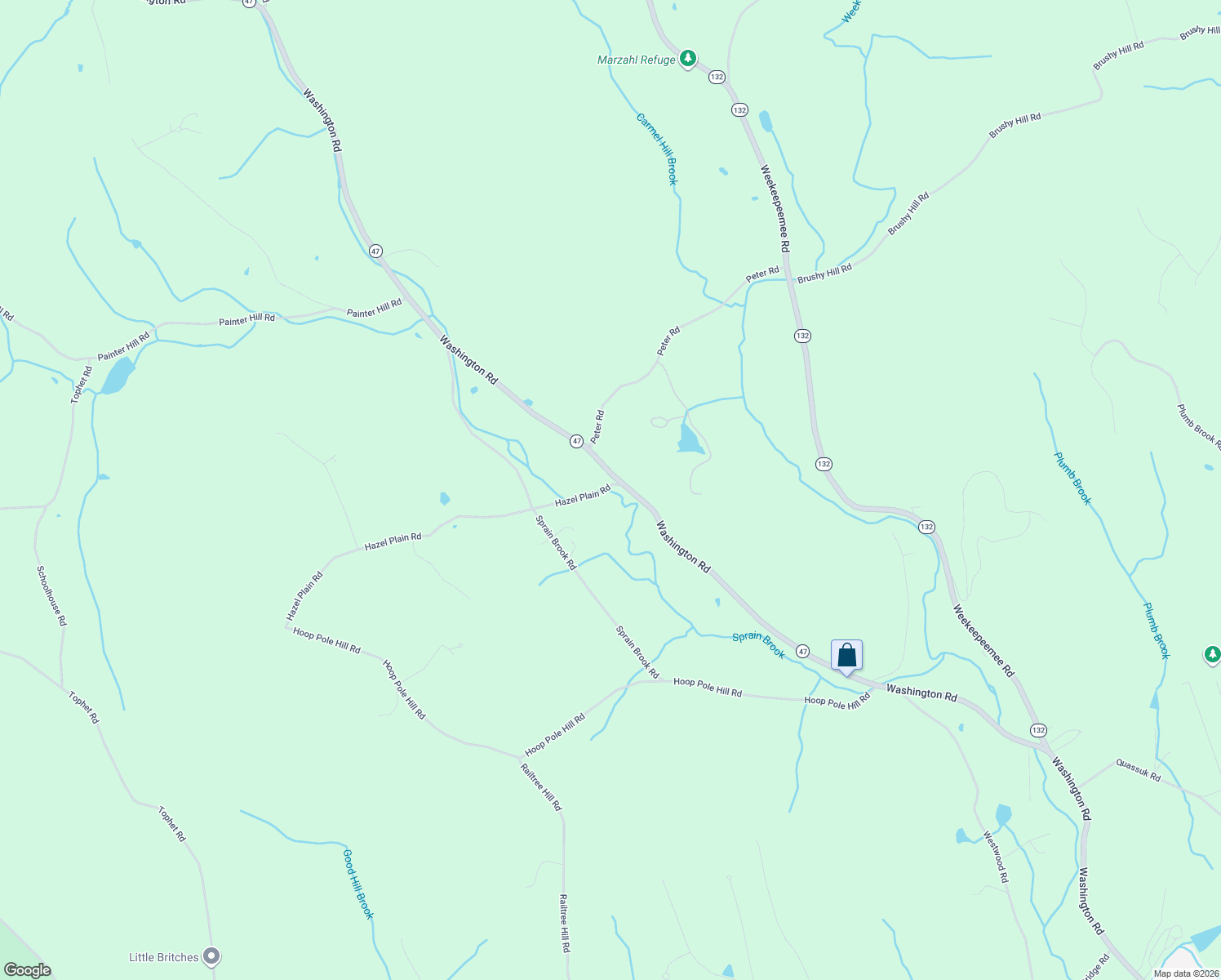 map of restaurants, bars, coffee shops, grocery stores, and more near 31 Hazel Plain Road in Woodbury
