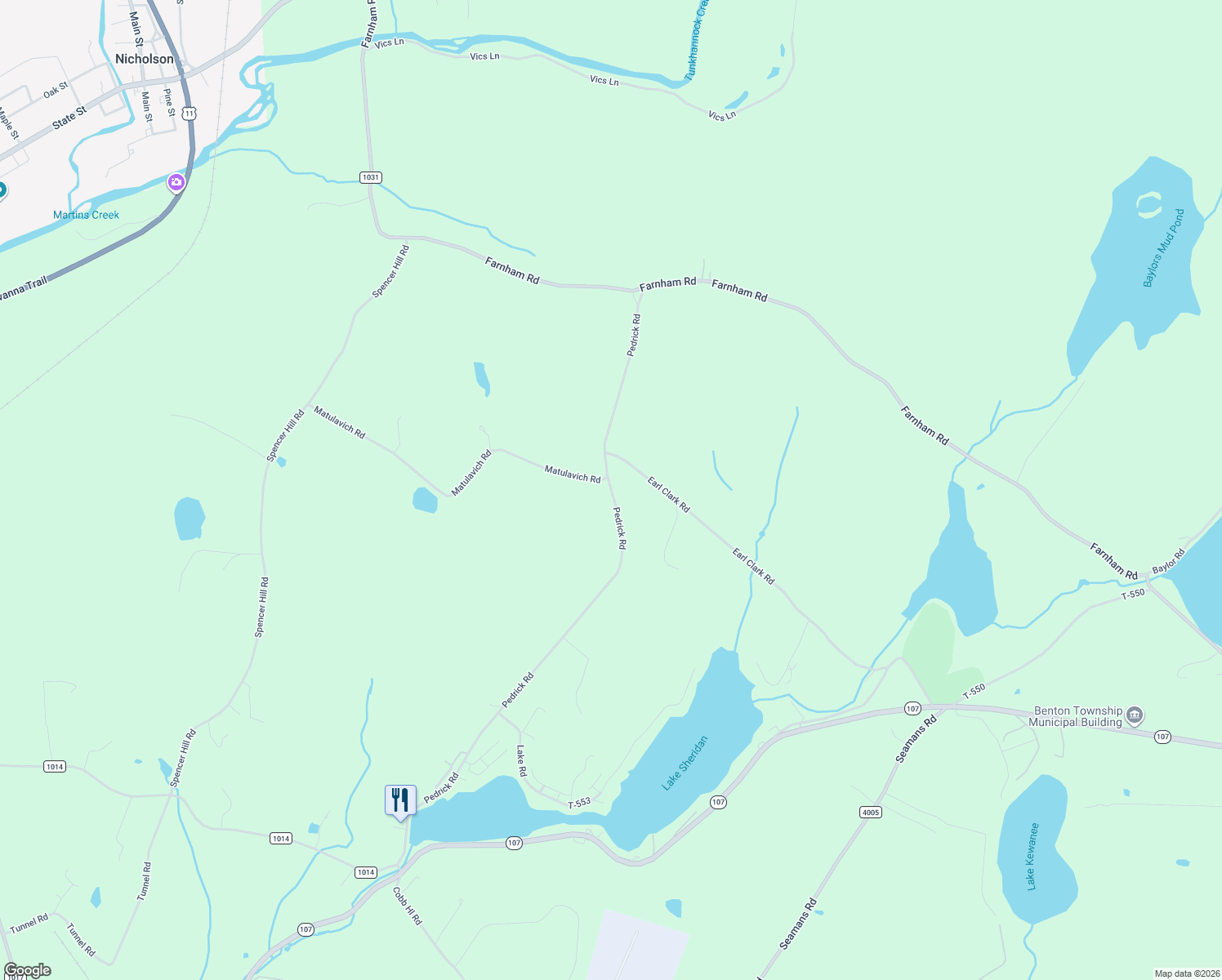 map of restaurants, bars, coffee shops, grocery stores, and more near Pedrick Road in Nicholson