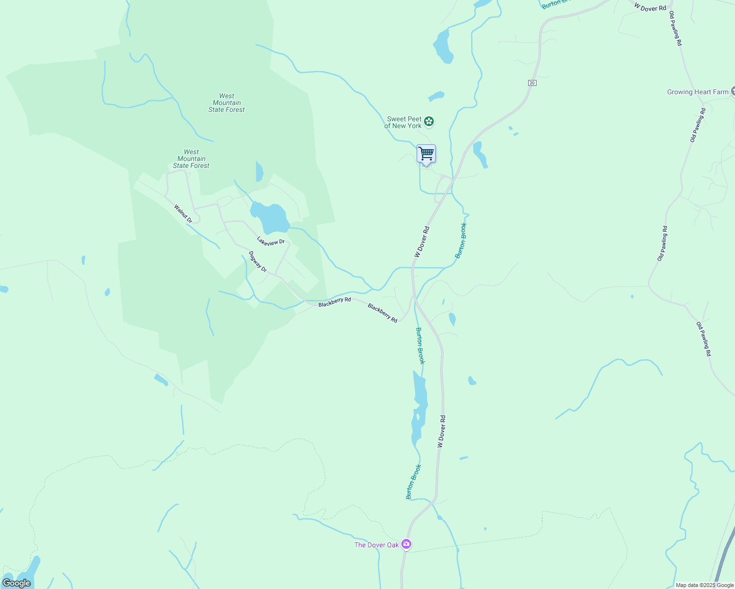 map of restaurants, bars, coffee shops, grocery stores, and more near 25 Sallys Lane in Pawling