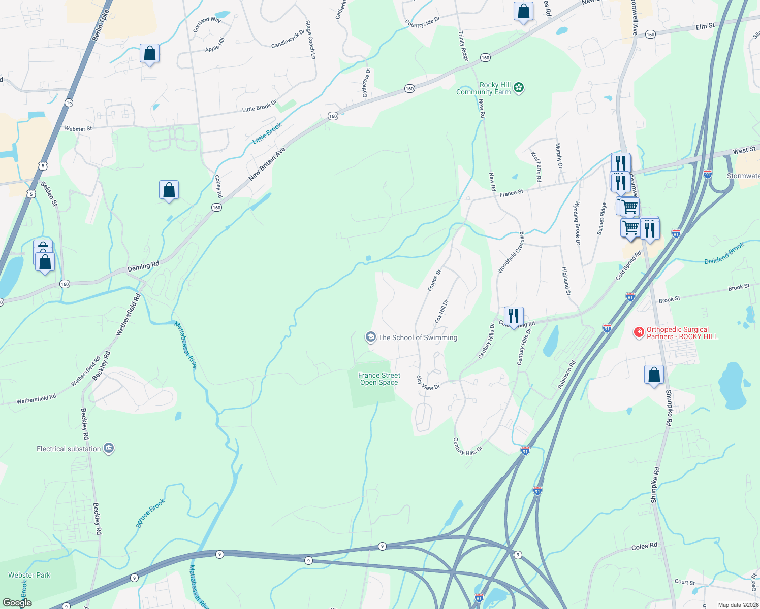 map of restaurants, bars, coffee shops, grocery stores, and more near 124 Speno Ridge in Rocky Hill