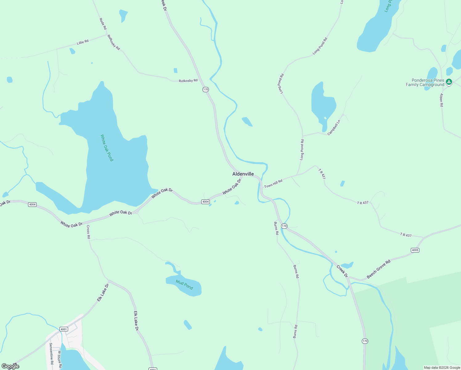 map of restaurants, bars, coffee shops, grocery stores, and more near 1787 White Oak Dr in Forest City