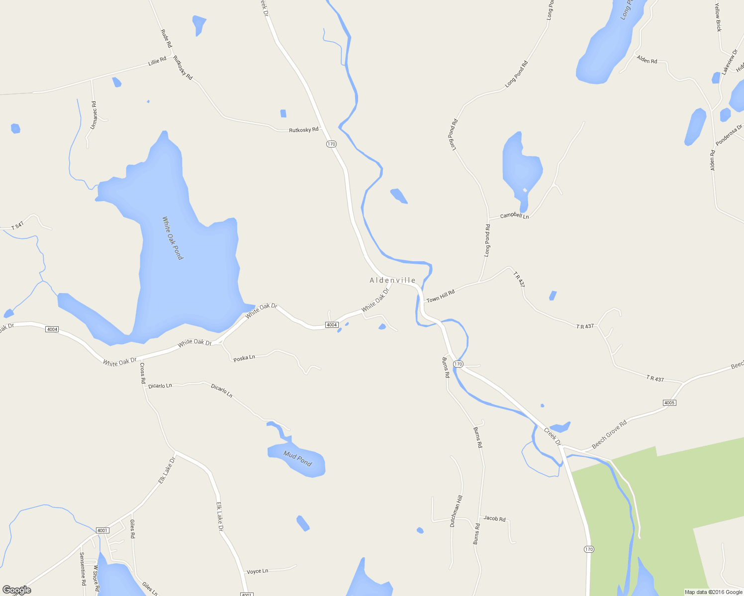 map of restaurants, bars, coffee shops, grocery stores, and more near 1787 White Oak Drive in Forest City