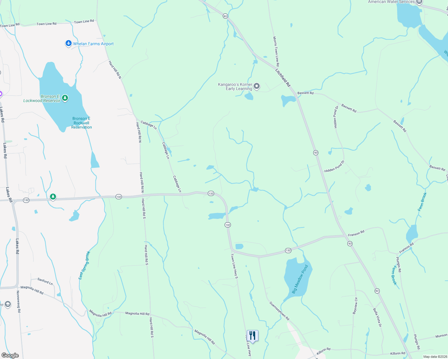 map of restaurants, bars, coffee shops, grocery stores, and more near 44 Town Line Highway North in Watertown