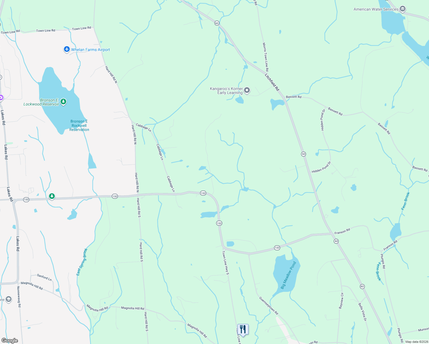 map of restaurants, bars, coffee shops, grocery stores, and more near 44 Town Line Highway North in Watertown