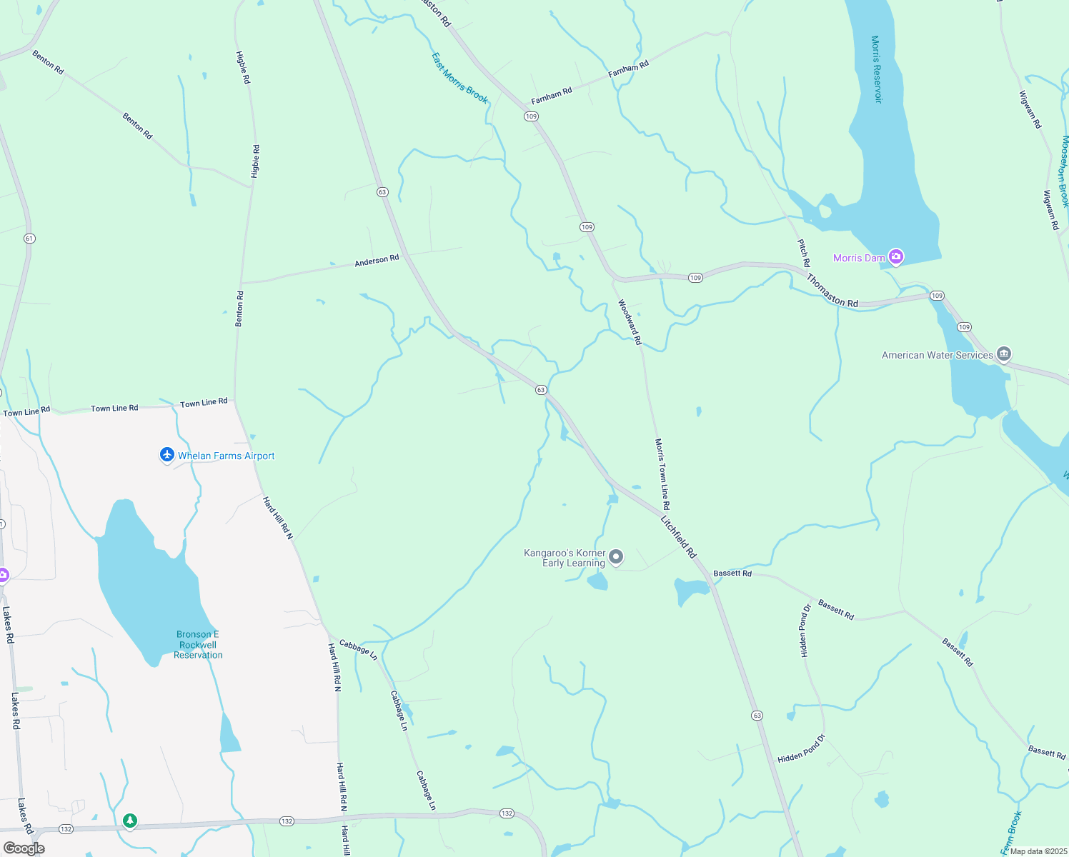 map of restaurants, bars, coffee shops, grocery stores, and more near 2461 Litchfield Road in Watertown