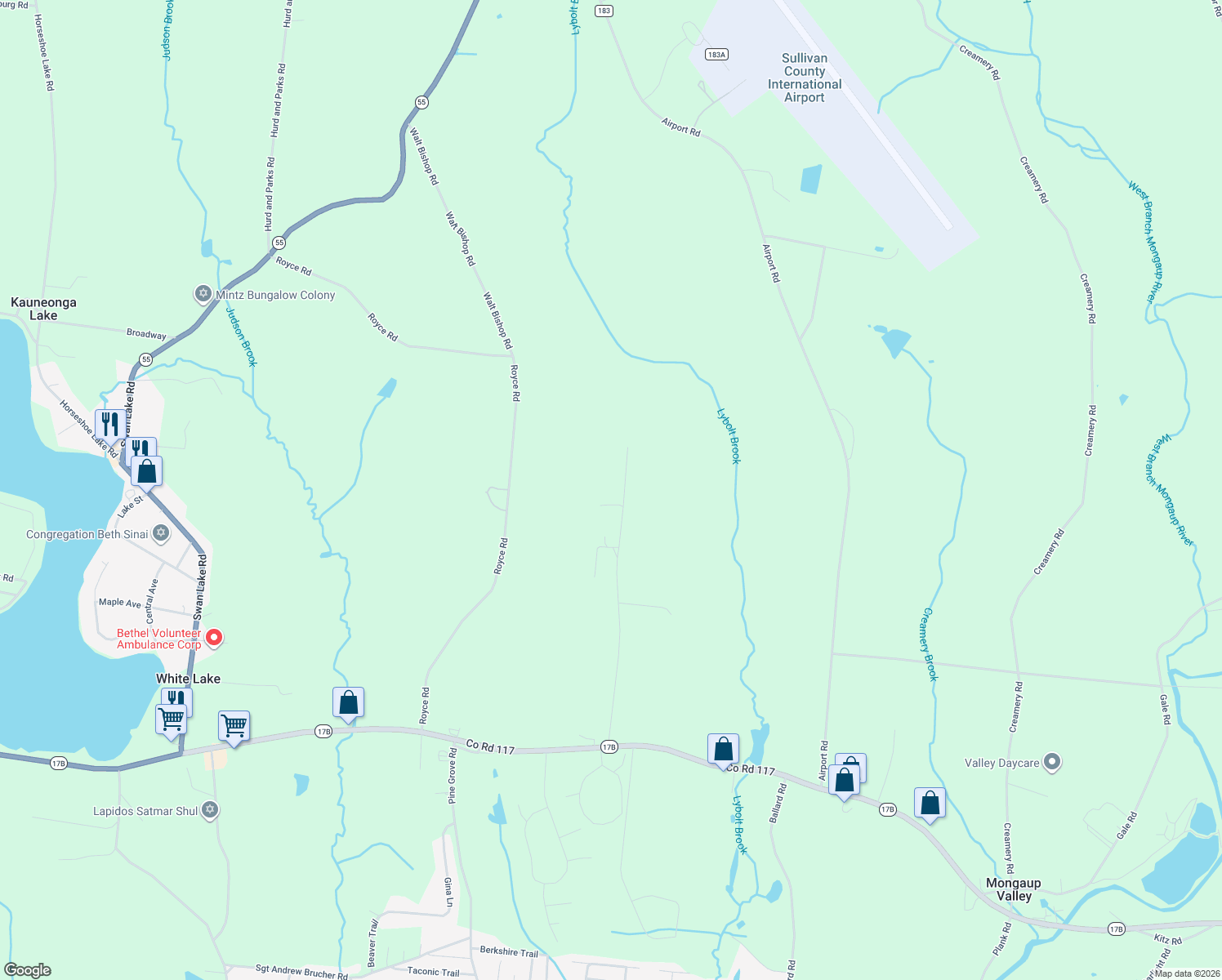 map of restaurants, bars, coffee shops, grocery stores, and more near 154 Britman Road in Mongaup Valley