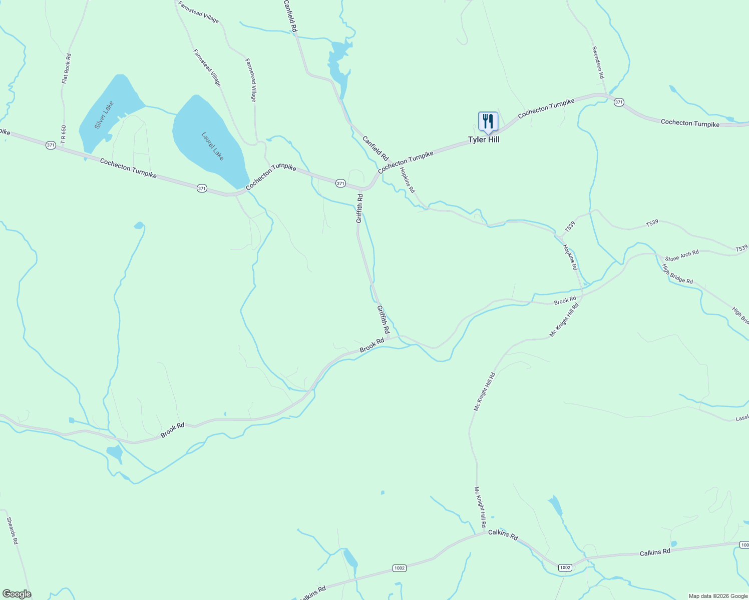 map of restaurants, bars, coffee shops, grocery stores, and more near 471 Griffith Road in Tyler Hill