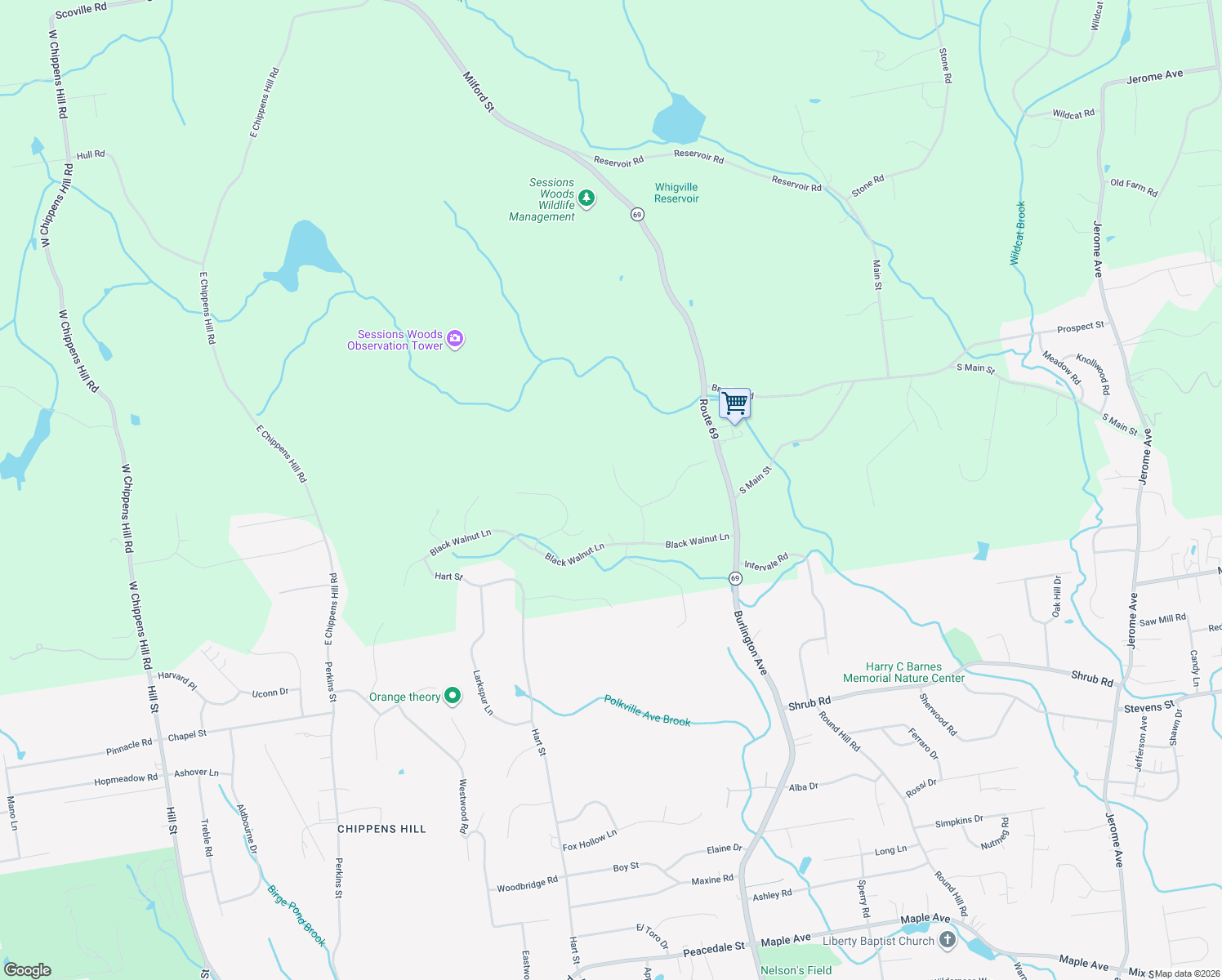 map of restaurants, bars, coffee shops, grocery stores, and more near 24 Bittersweet Lane in Burlington